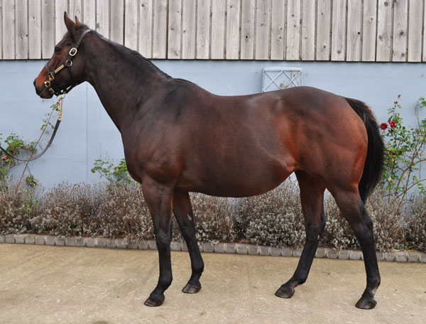 Lot 2236